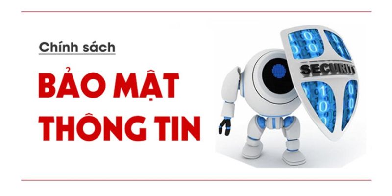 Thông tin về các nội dung có trong chính sách